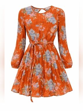 American Eagle Burnt Orange Long Sleeve Cotton Festival Floral Mini Dress Sz XS